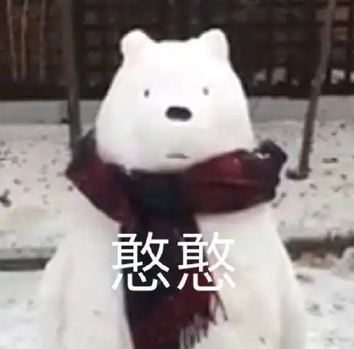 up主网红
