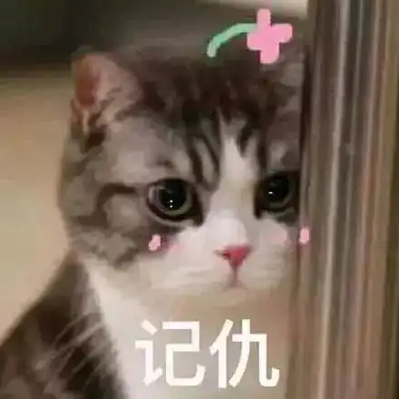 猫咪表情包15张我懂了,我就是你可有可无的网友
