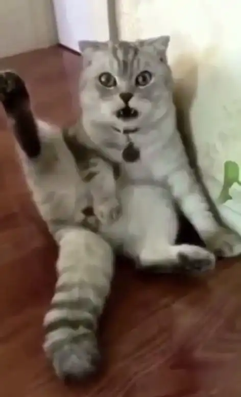 你经历过绝望吗
