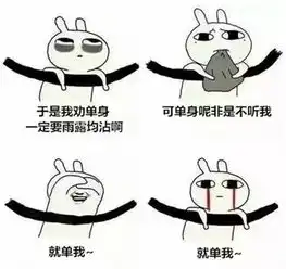 雨露均沾是个啥就这样被玩坏了......
