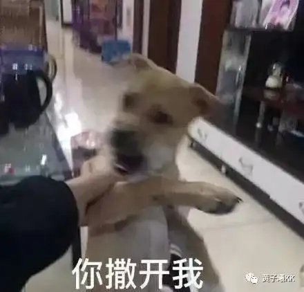 笑出腹肌2018年度网友热选最搞笑图片,第一张就笑到头掉
