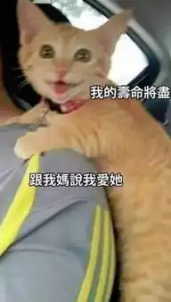 小伙子向女友求婚,竟然用上了这样的方式哈哈哈太奇葩了,已笑疯
