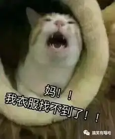 放假了,万万没想到,原来在家的你是这么逗
