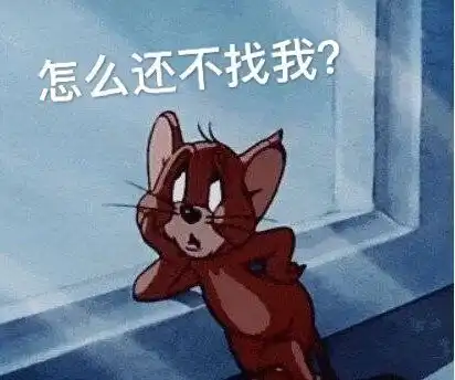 乔杉捂脸大笑动图乔杉动图大笑表情

