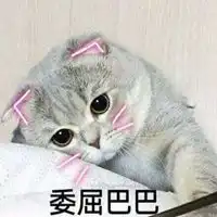 委屈表情包动态微信头像图片大全
