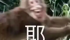 别给我看dou5了真是要吐了不要一w
