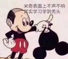 秃头脱发表情包米奇表面上不声不响,其实,学习学到秃头
