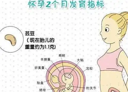 孕吐心情烦躁孕早期需要注意什么