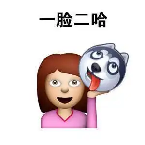 可莉表情包竖中指双手