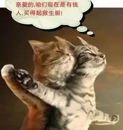 12星座爆笑萌宠表情都是什么样的