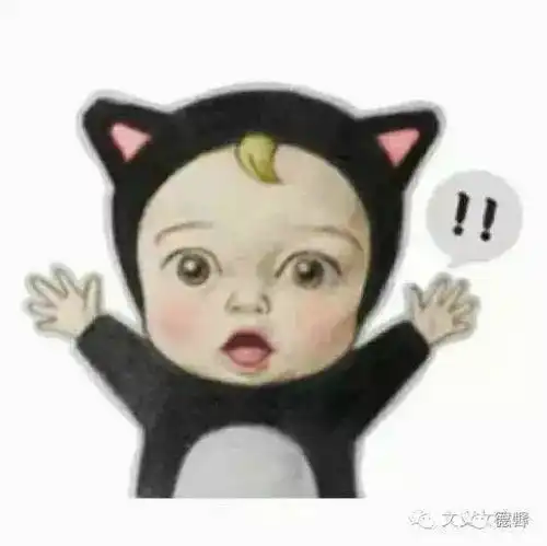 史上最犀利的吐槽,看完秒懂
