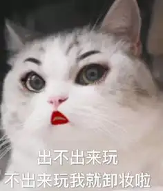 猫咪表情包第五弹
