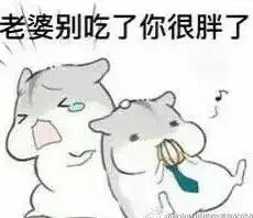 小仓鼠表情包大全萌萌哒小仓鼠的表情包
