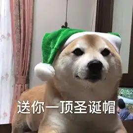 两位男星与一位女星的纠结情史
