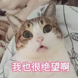 喵星人给你丢了个表情包你算哪块小饼干
