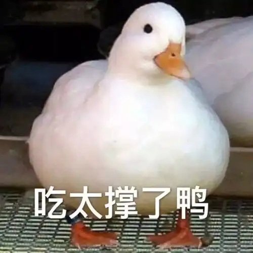 鸭鸭表情又来啦快来收图了鸭
