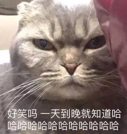 好麻利的手法,估计他的头发就是这样梳没的吧
