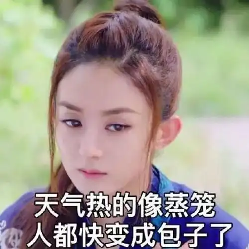 无所畏惧表情包赵丽颖