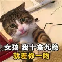 土味情话猫咪表情包带字女孩我十拿九稳就差你一吻
