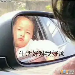 超级理直气壮表情包图片生活好难我好烦表情包图片下载乐游网游戏下载
