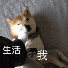 生活与我,一组虐虐的表情包
