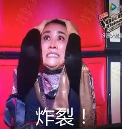 好声音汪峰那英表情包
