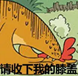 关于鸡的表情包
