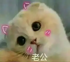 分享一波超萌表情包
