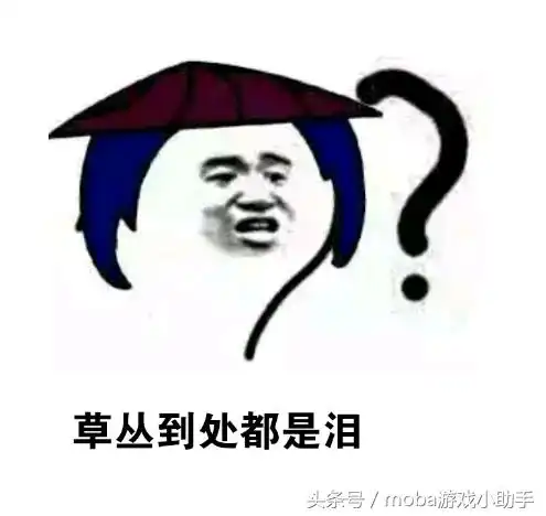 王者荣耀天天叫坑,你的水准到底有多高
