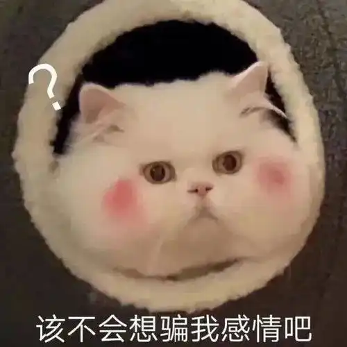 表情包聚散无常,愿所有的爱都有着落