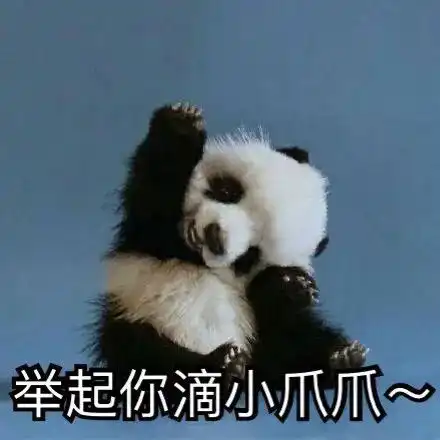 可爱熊猫表情包第一弹
