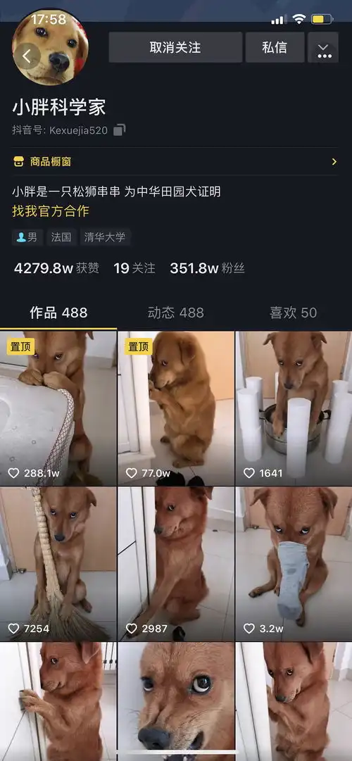 大家知道很火的委屈小黄狗的表情包吗怀疑主人虐狗
