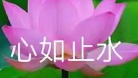 练琴201007

