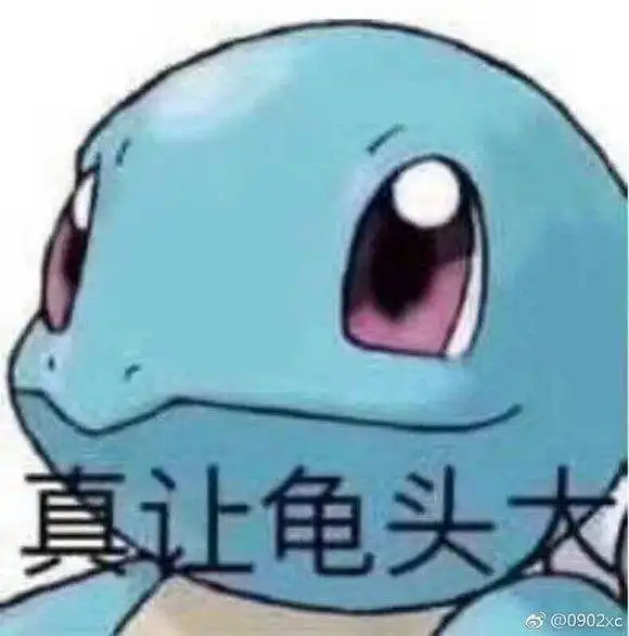 你有多少憨憨龟的表情包
