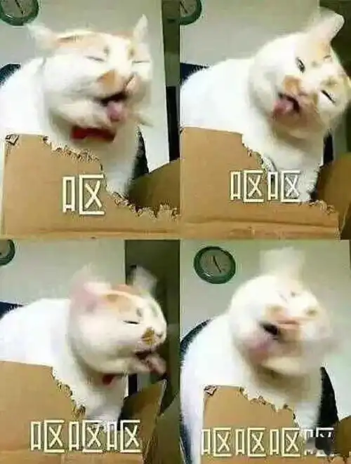 淘宝丑东西大赛,年度奇葩评选
