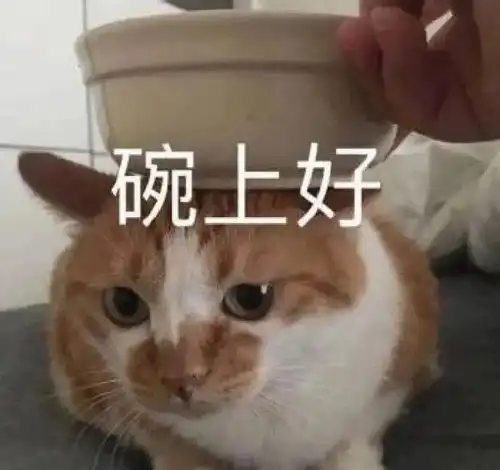 e句话看天下报考大学,一定要远离家乡吗
