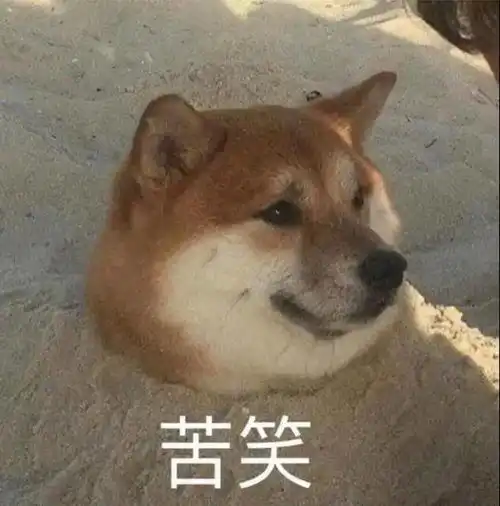大型双标现场为什么人对猫狗的态度差异那么大
