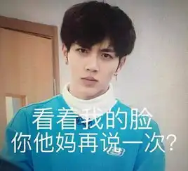 他在节目里被淘汰,却倚老卖老,网友他一直都在尽心尽力当大哥
