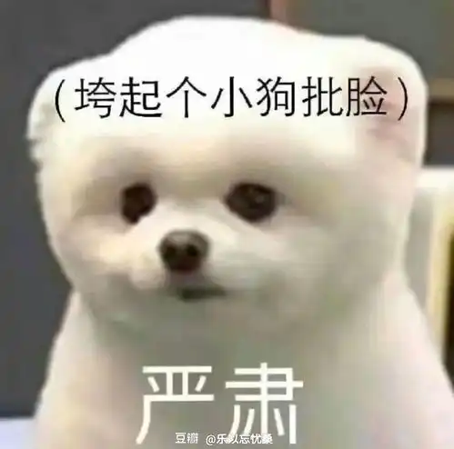 居然没有人说原耽救赎之光我吐了,真的看不...
