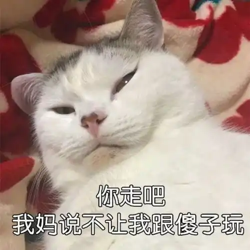 听说给女朋友送了这款礼物的成都男人,现在都登上了人生巅峰
