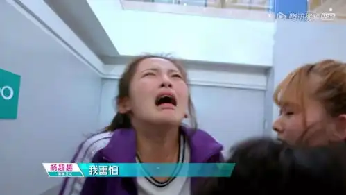 张雨绮推荐20万一只的爱马仕包,她是炫富吗
