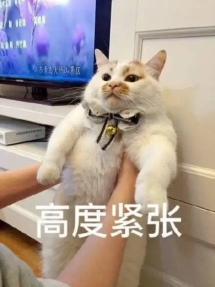 夏木
