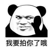微信拍一拍表情包
