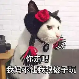 你走吧我妈不让我跟你玩表情包你走吧我妈不让我跟傻子玩表情包
