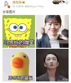 苏有朋王凯表情包大战,明星藏了多少自己的表情包
