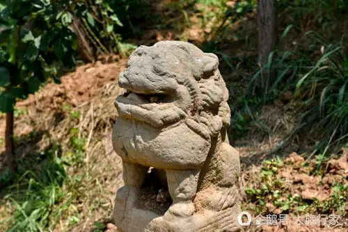 地上兵马俑关中拴马桩表情包萌哭了
