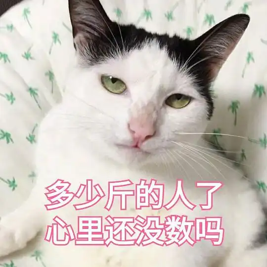 润叶的相册猫咪表情包
