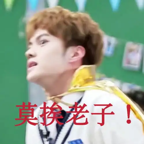 青春有你表情包

