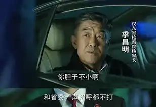 人民的名义原来他才是放丁义珍逃跑的人
