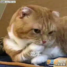 秀啊狗子权律二表情包我应该再坏一点尓豪表情包下载乐游网游戏下载
